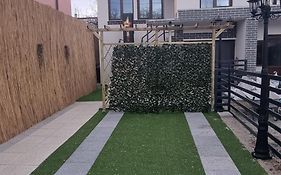 Dnt House 2